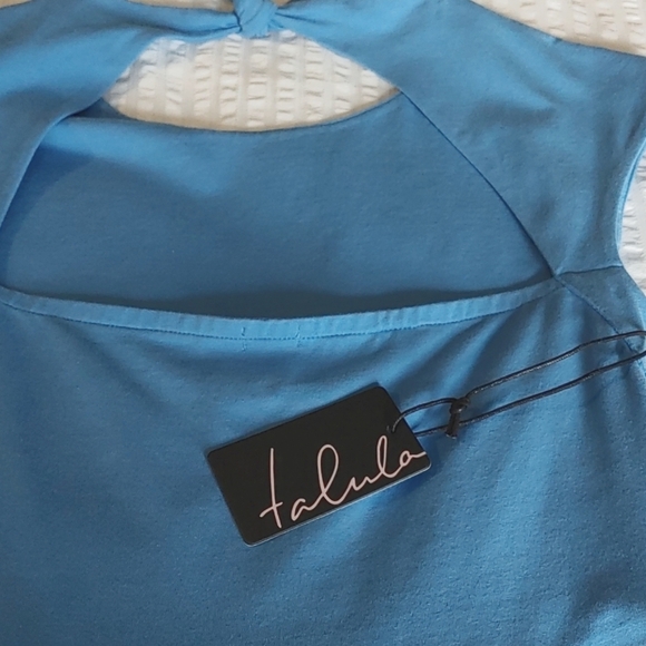 NWT ARITZIA TALULA PALMETTO DRESS MARINA SIZE SMALL - Picture 3 of 12